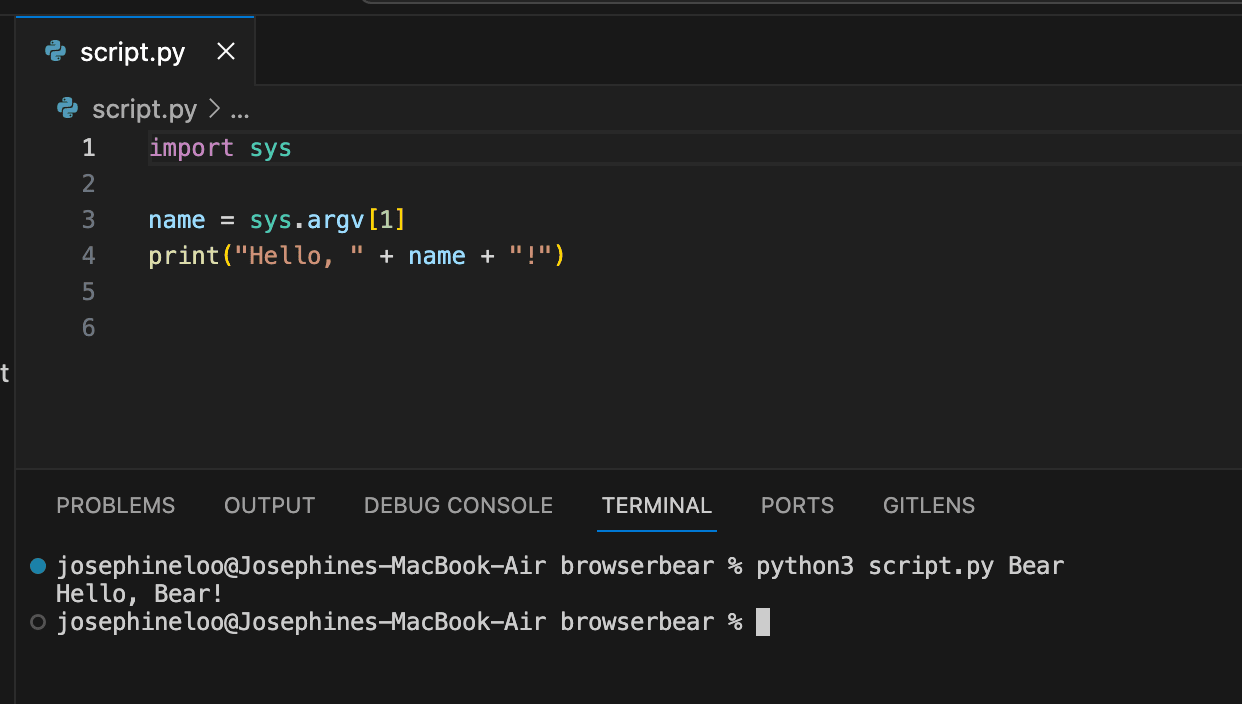 how to run a Python script from the command line:terminal - command-line argument.png